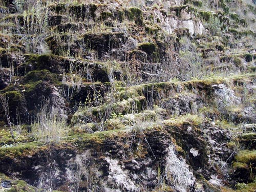 140-Alcan Highway-Tufa