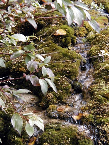 142-Alcan Highway-Tufa