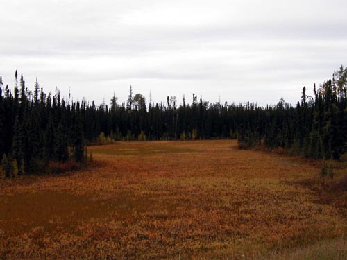 143-Alcan Highway-Fall Colors after Liard
