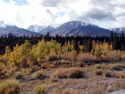 175-Alcan Highway-Kluane Provincial Park