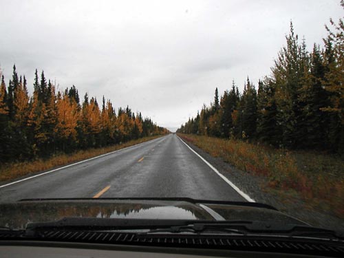 196-Alcan Highway-After Tok Alaska