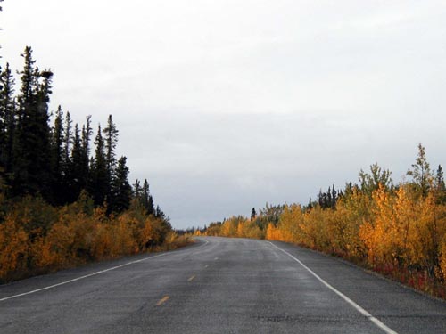 210-Alcan Highway-The Glenn Highway