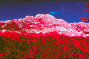 Ektachrome Infrared Images MOUNTAIN BC