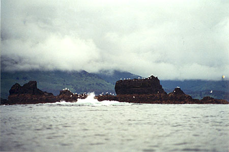 Sea-Kayak-Kodiak-03a Day 1