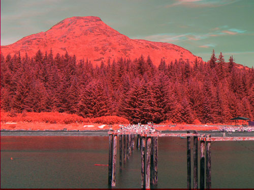 Sea-Kayak-Kodiak-54 Day11 Port Wakefield From Dock