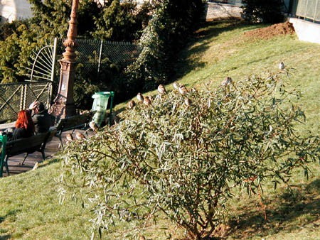 London British Museum 011503 33 001