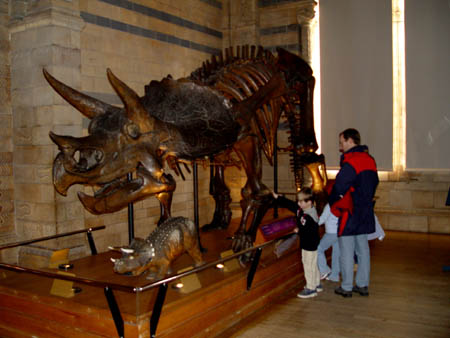 London-Natural History Museum 22