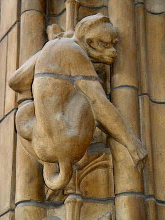 London-Natural History Museum 31