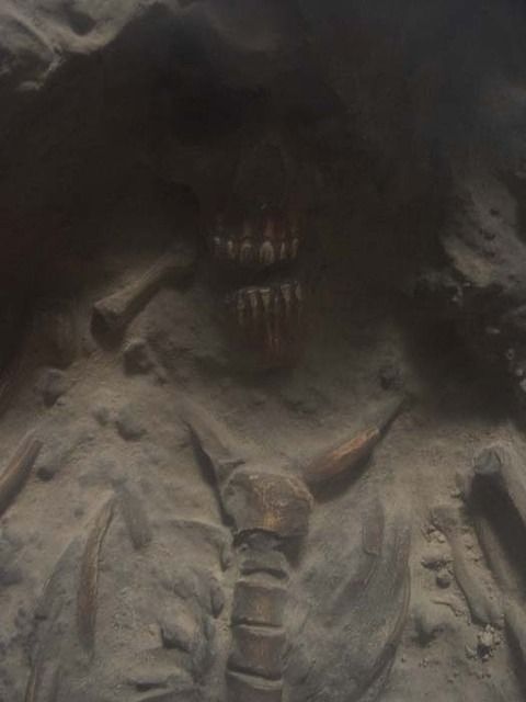 Herculaneum-Ruins-Italy-39