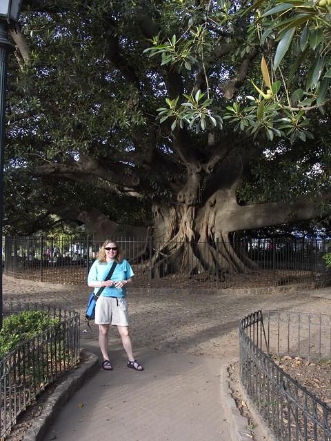 Buenos-Aires-Argentina-La Recoleta 3348