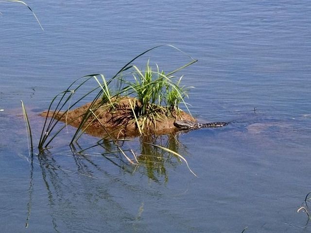 Iguazu-Argentina-Parque-Nacional-3453