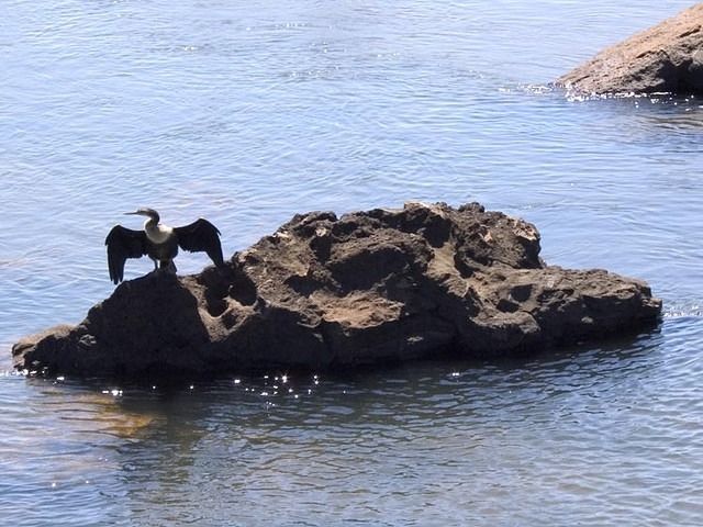 Iguazu-Argentina-Parque-Nacional-3458