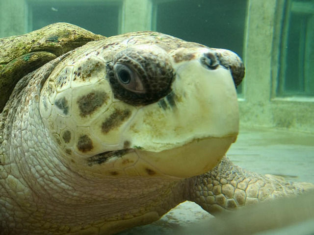 Mendoza-Argentina-58