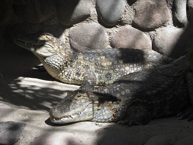 Mendoza-Argentina-59