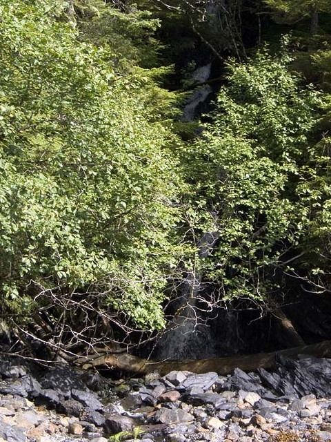 Sea-Kayak-Expedition-Cordova-Valdez-Alaska-47 Two Moon Bay