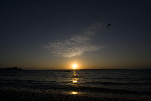 Akumal Half Moon Bay 09