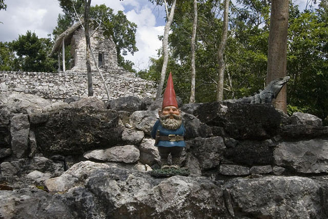 Coba Yucatan Gnome Iguana