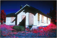 Ektachrome Infrared Images OLD HOUSE