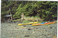 Sea-Kayak-Kodiak-16a Day3 Camp