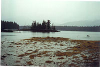Sea-Kayak-Kodiak-19a Day3 Camp Raspberry Is Spit high tide