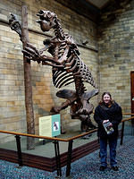 London-Natural History Museum 06