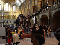 London-Natural History Museum 21