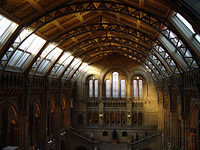London-Natural History Museum 36