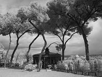 Rome-Infrared-Top-of-Hill-04BW