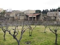 Herculaneum-Ruins-Italy-11