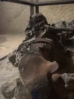 Herculaneum-Ruins-Italy-40