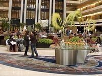 Buenos-Aires-Argentina-Puerto-Madero-Hilton-3749