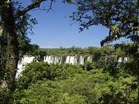 Iguazu-Argentina-Parque-Nacional-3430a