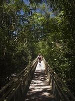 Iguazu-Argentina-Parque-Nacional-3439