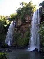 Iguazu-Argentina-Parque-Nacional-3482