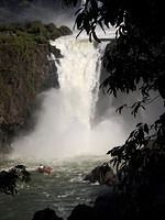 Iguazu-Argentina-Parque-Nacional-3484