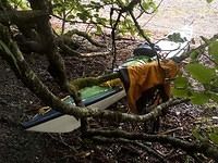 Sea-Kayak-Expedition-Cordova-Valdez-Alaska-62 Black Point Camp 7 amp 8