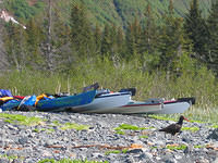 Harriman-Fjord-Sea-Kayak-Expedition-11a