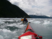 Harriman-Fjord-Sea-Kayak-Expedition-43a